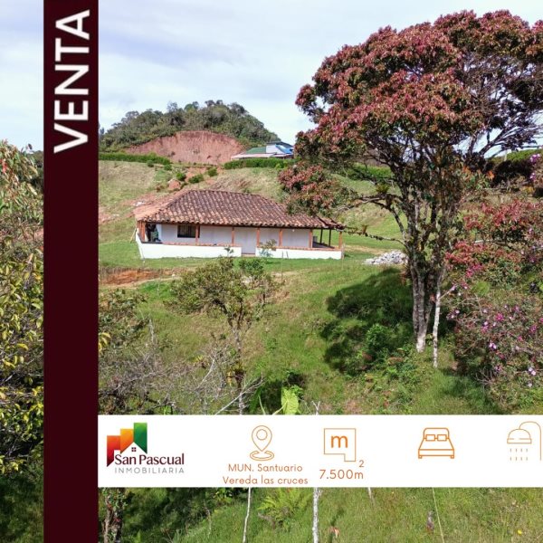Finca disponible para Venta en Santuario Vereda Las Cruces Foto numero 1